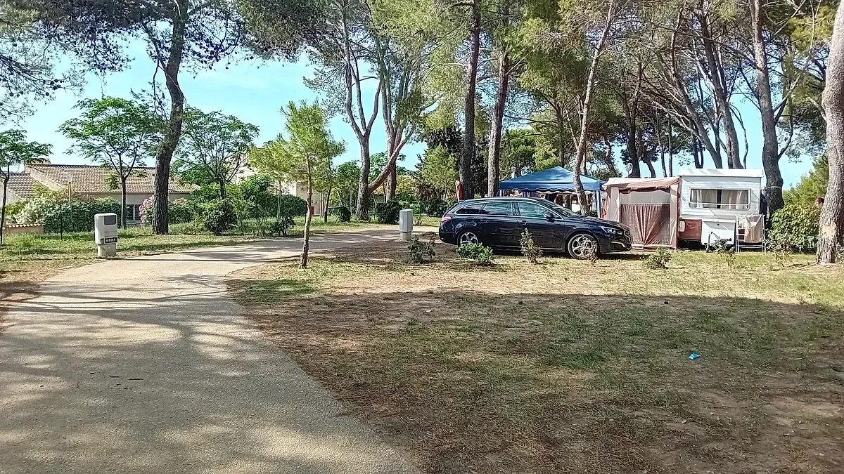 Piscine Municipale d'Alignan-du-Vent