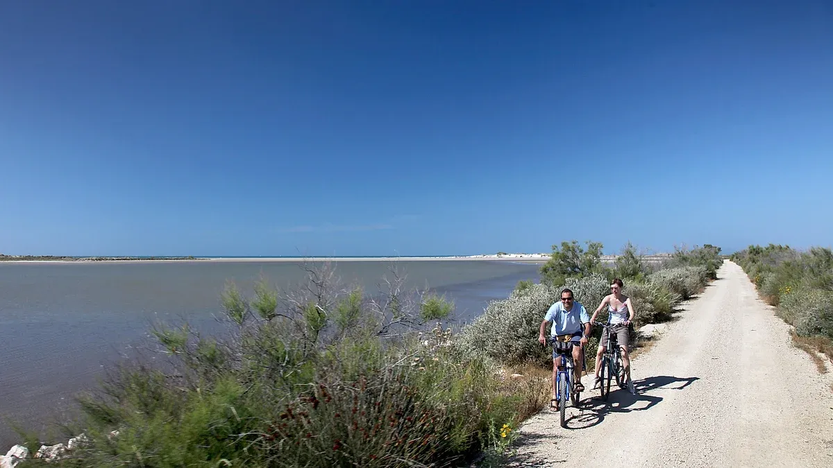 Piscine Estivale de Salin-de-Giraud