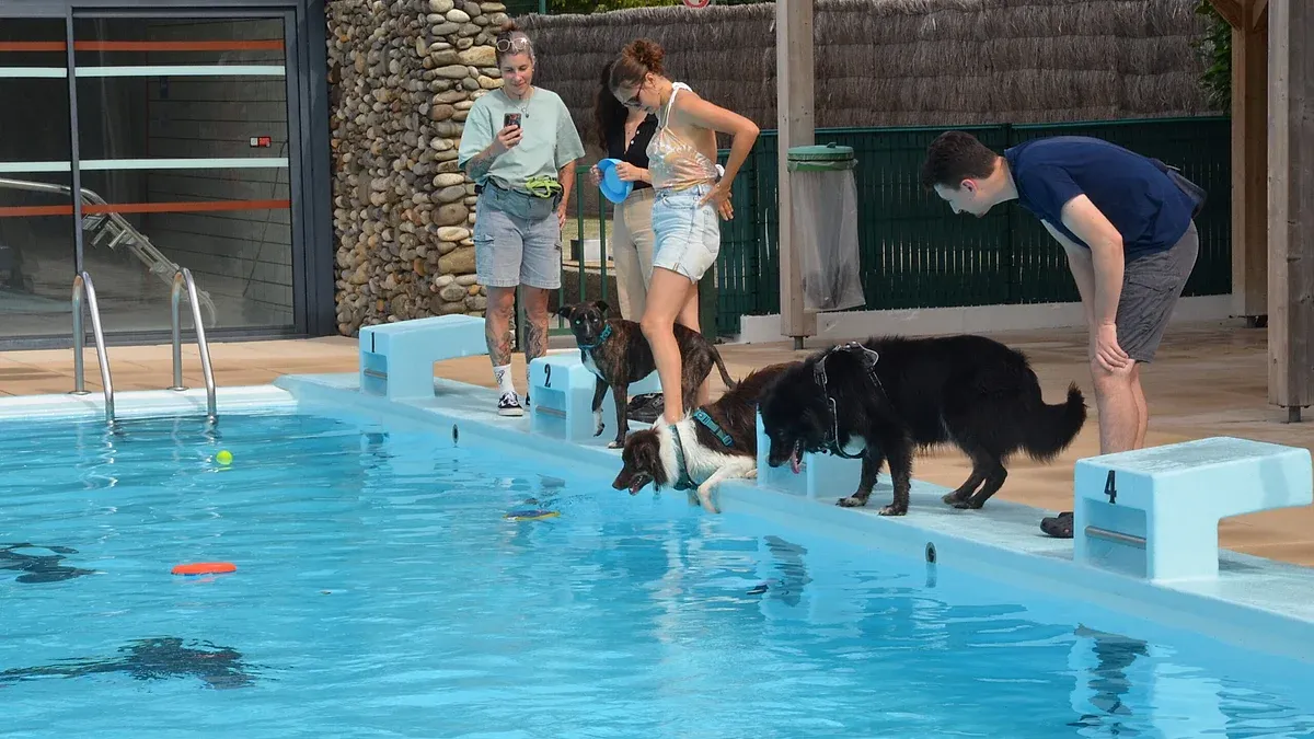 Piscine Municipale de Billère