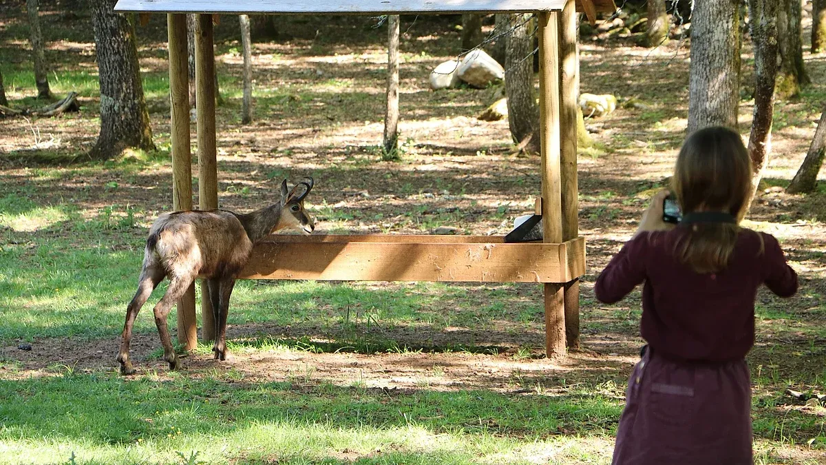 Piscine Cascades du Causse de Gramat