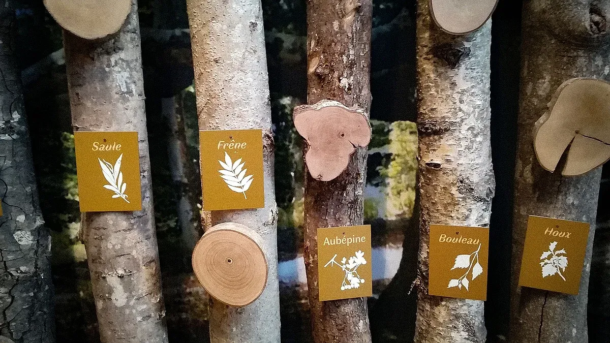 Piscine Municipale de Chamberet