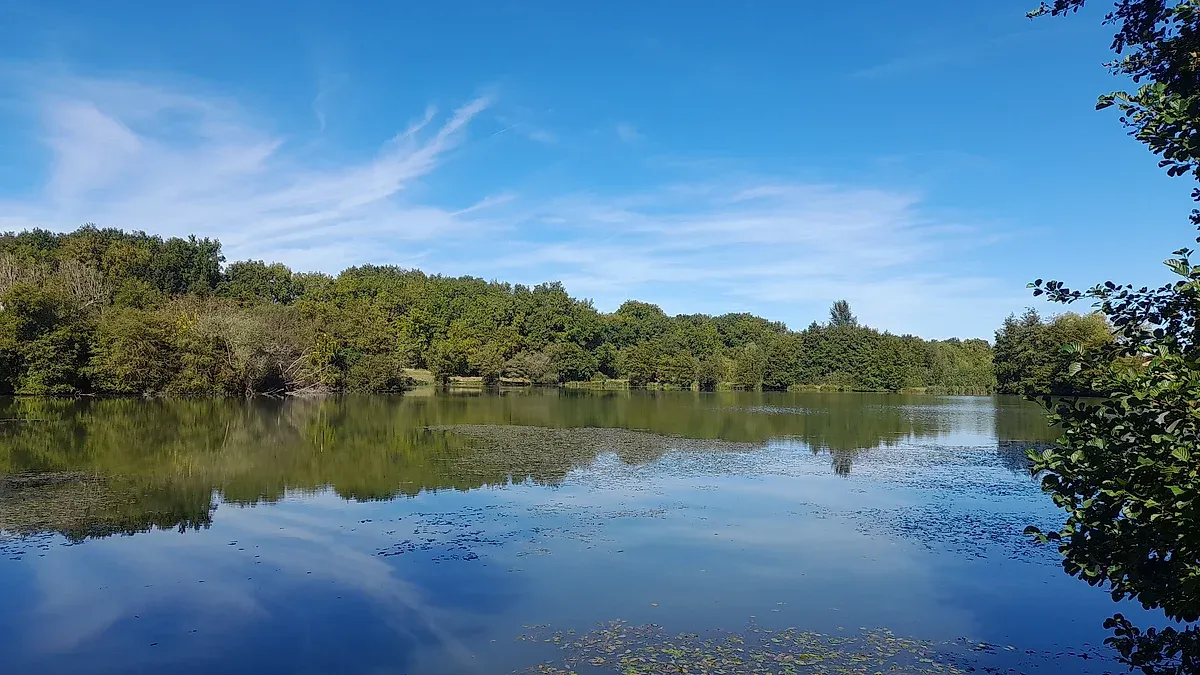 Piscine de Sauveterre-de-Guyenne