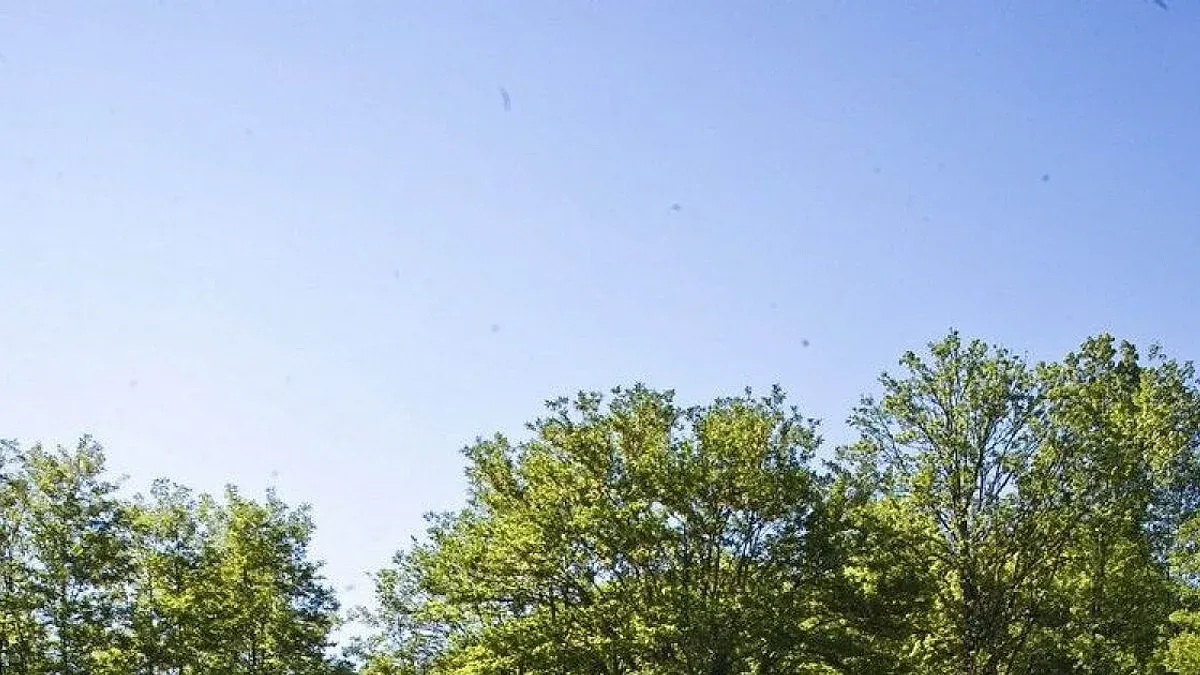 Piscine d'Été de Thurins