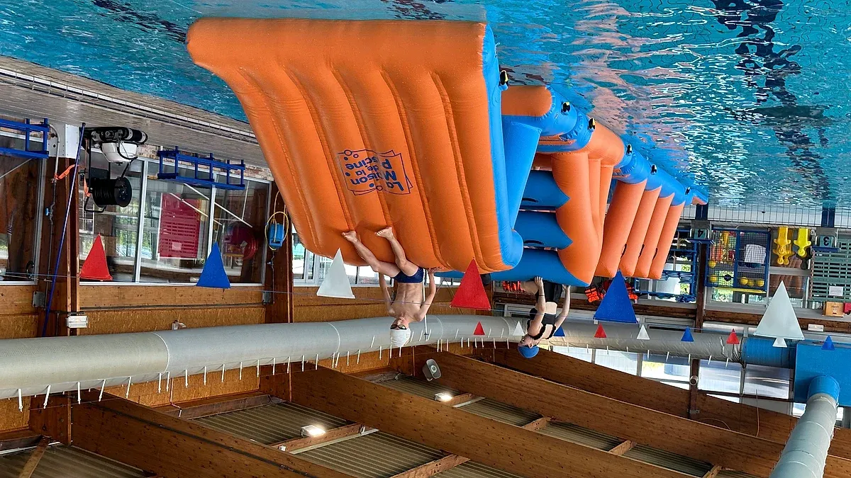 Bassin Albert Pectoor