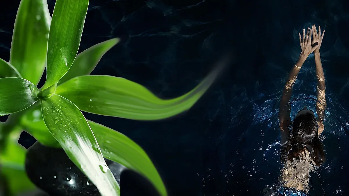 Piscine MAG de Teyran