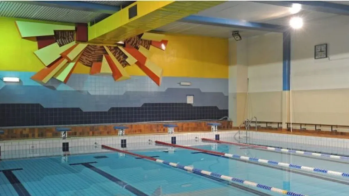 Piscine Aspirant Dunand