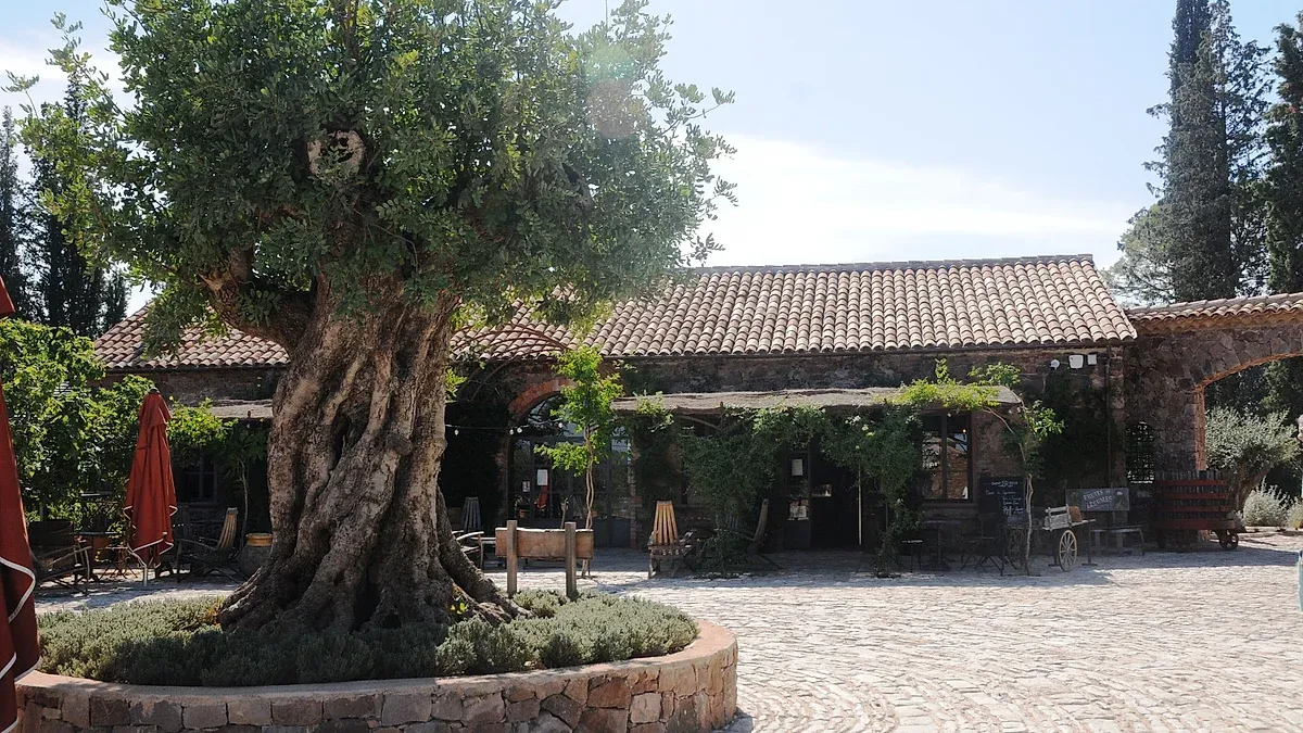 Piscine Municipale de Vidauban