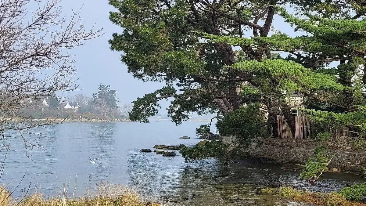 Spa L'Espace Bleu Marine