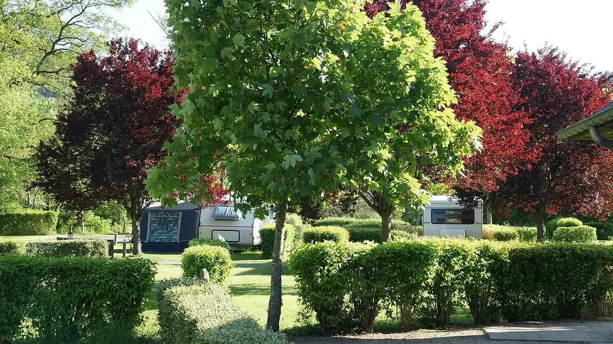 Thermes de Châteauneuf-les-Bains